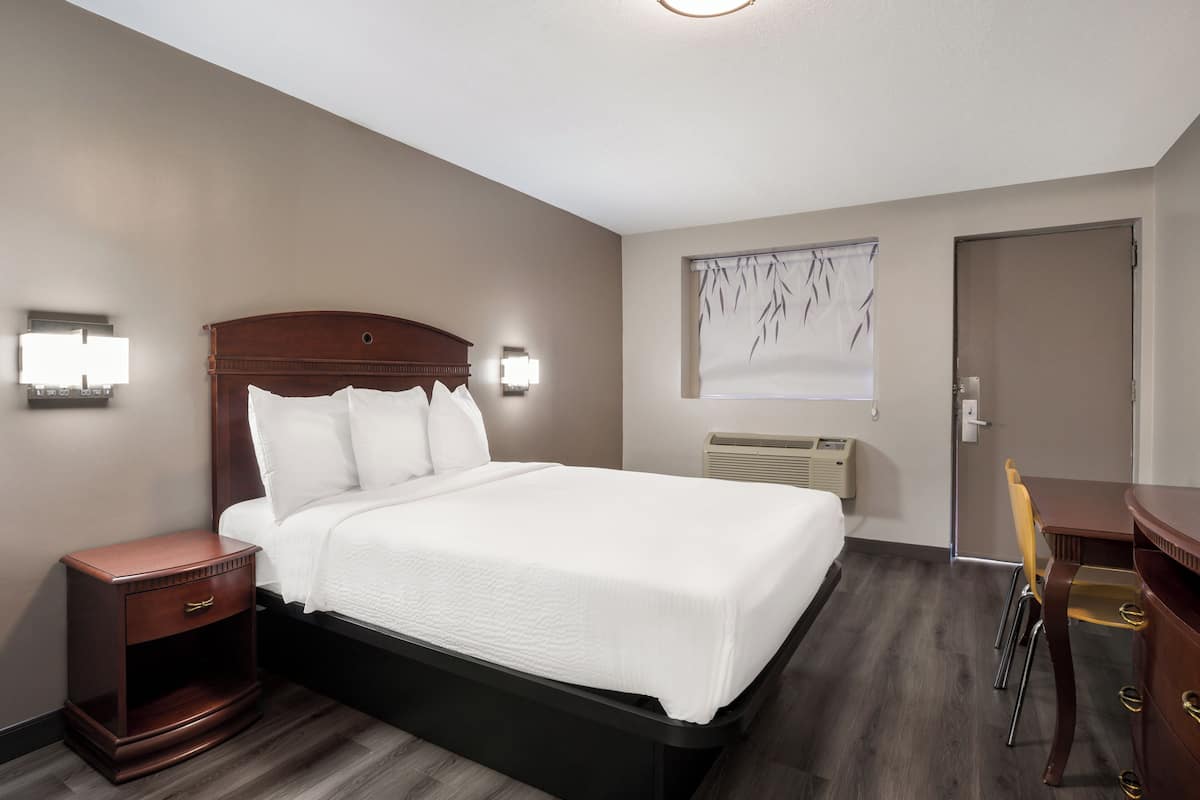 Habitación individual estándar, 1 cama King size, con acceso para personas discapacitadas | Cortinas blackout, wifi gratis y ropa de cama