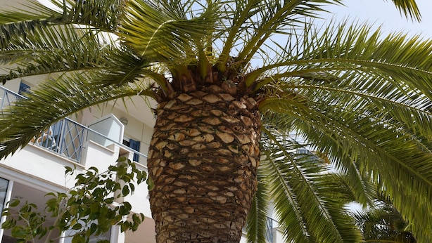 Exterior - Hotel Serenity Tolo (Nafplio)