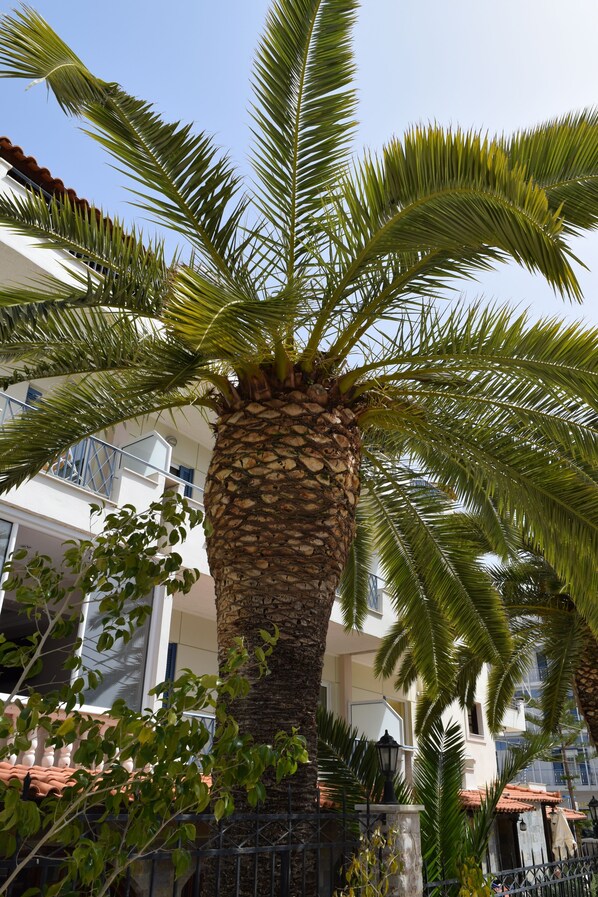 Exterior - Hotel Serenity Tolo (Nafplio)