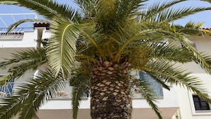 Exterior - Hotel Serenity Tolo (Nafplio)