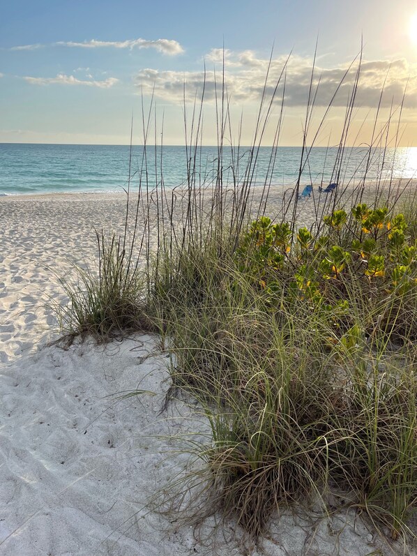 Beach nearby, sun-loungers, beach towels