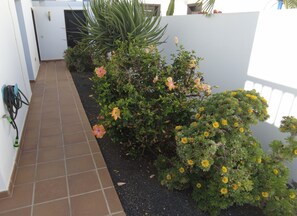 تفاصيل الفندق من الخارج