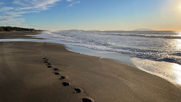 Una spiaggia con impronte che conducono all'acqua, cielo sereno e coste all'orizzonte.