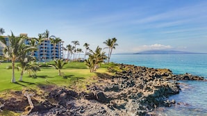 A coastal hotel with a rocky shoreline, palm trees, and a clear view of the ocean. - 308 – Deluxe Oceanfront One Bedroom Unit with A/C! (Kihei)