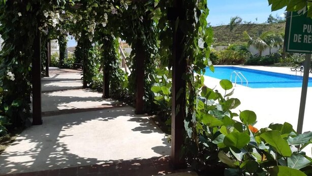 Un chemin abrité, bordé de verdure, qui mène à un espace piscine.