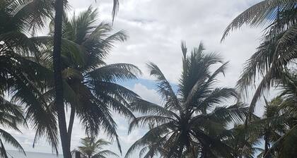 Estrela Antônia - Praia de Santo Antônio