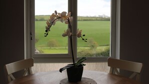 Uma orquídea em vaso sobre uma mesa de madeira, perto de uma janela com vista para um campo verde.