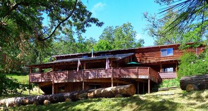 Evergreen Haus