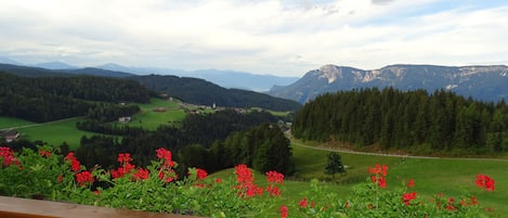 A scenic view of a mountainous landscape with a wooden railing in the foreground.