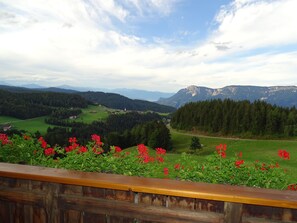 Vue depuis l’hébergement