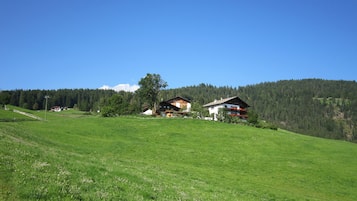 Esterni