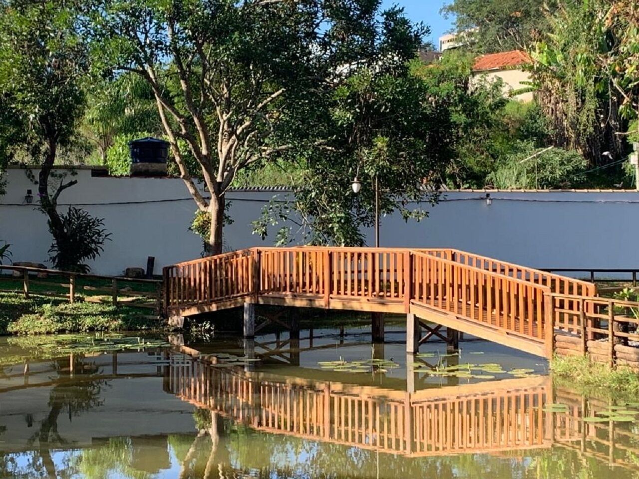 Un puente de madera sobre un estanque con nenúfares, rodeado de árboles y una pared blanca.