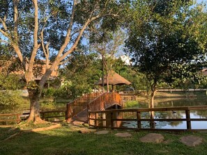 43 インチのスマートテレビ (ケーブル放送視聴可)、Netflix、ストリーミングサービス