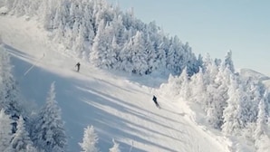 Snø- og skisport