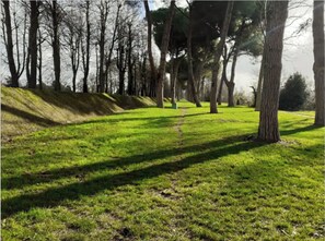 Een park met een graspaadje, bomen en een heuvel.