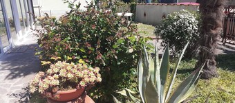 Cozy home for families in Pisa