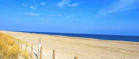 Beach nearby, sun loungers