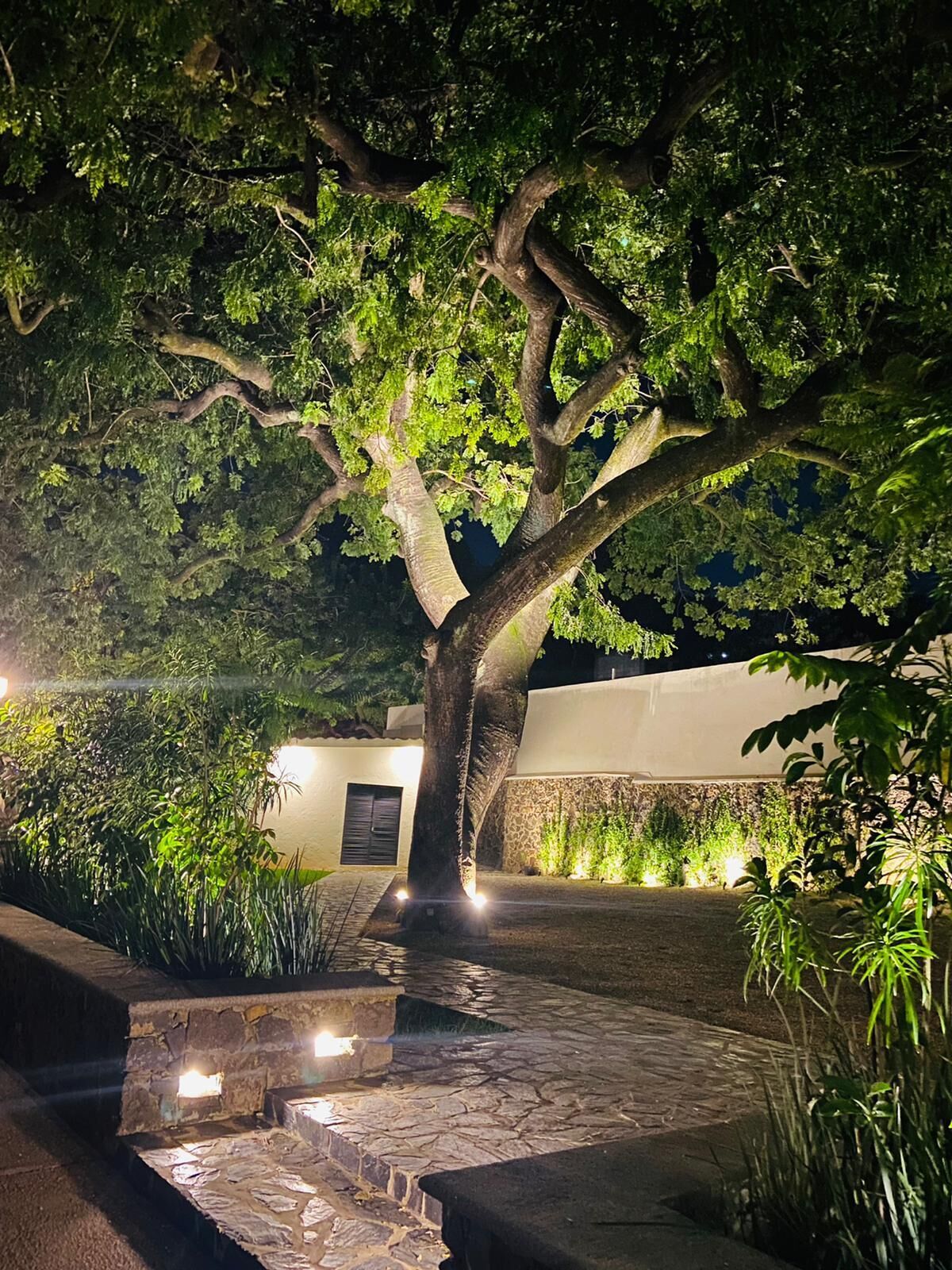 Vista desde la habitación