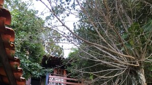 Eine steile Steintreppe führt zu einem Holzbauwerk mit einem Balkon, umgeben von viel Grün.