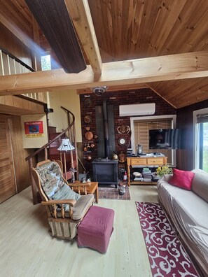 Smart-TV, Kamin