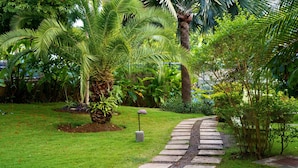 A garden with a stone pathway, palm trees, and various green plants. - Penthouse getaway by the beach (Ocho Rios)