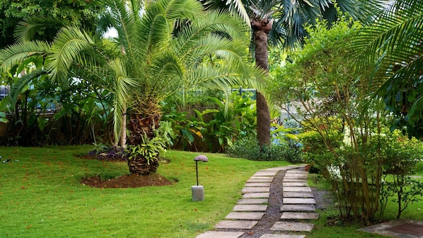 A garden with a stone pathway, palm trees, and various green plants.