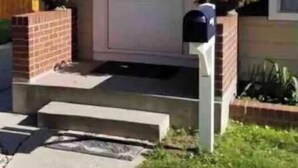 Una casa de una planta con porche delantero, buzón y un pequeño jardín con flores.