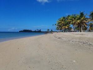 A beach with a clear sky, palm trees, and a calm sea.
