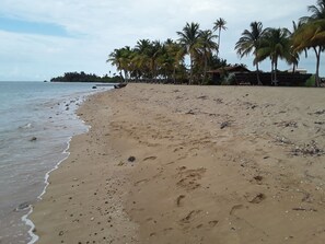 Plage à proximité, chaises longues, serviettes de plage