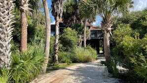 A pathway flanked by palm trees and dense greenery, leading to a building with a brown roof and large windows.