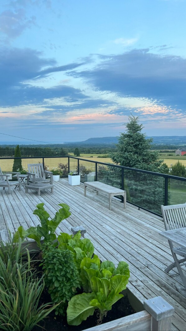 Terrace/patio - Cottage with a view Blue Mountains/Thornbury (Thornbury)