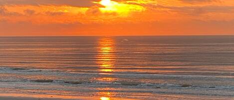 Beach nearby, sun-loungers