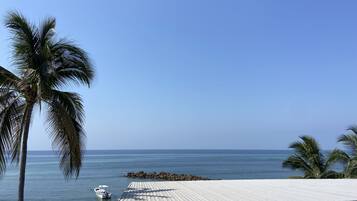 Panoramic Room | Terrace/patio