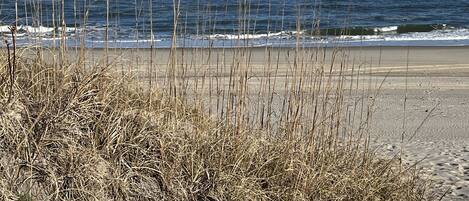 Playa en los alrededores y camastros