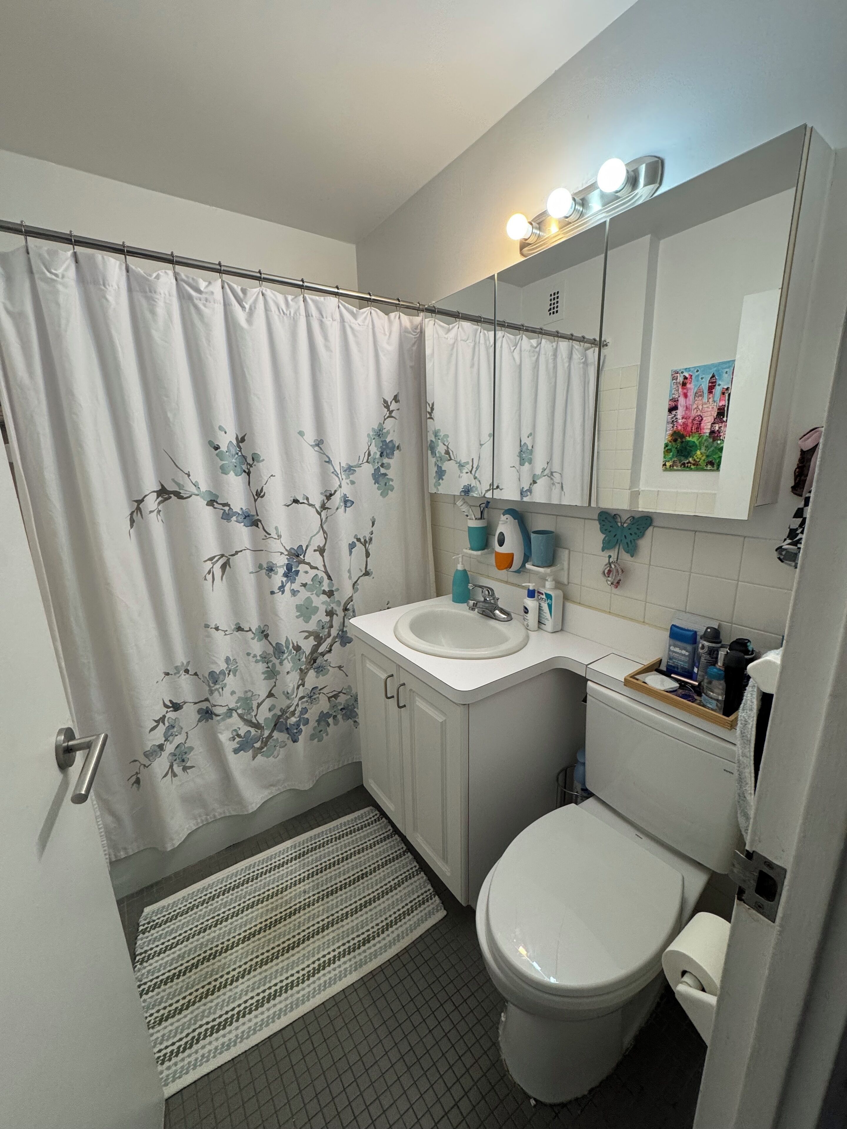 Bathtub, hair dryer, towels, soap
