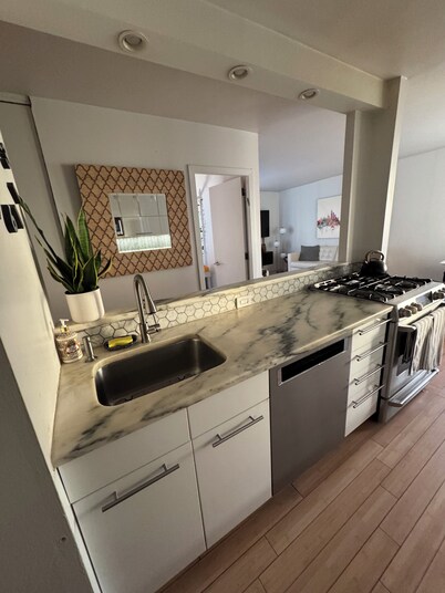 Modern Upper East Side Condo: Doorman, Valet, Private Security in Building 