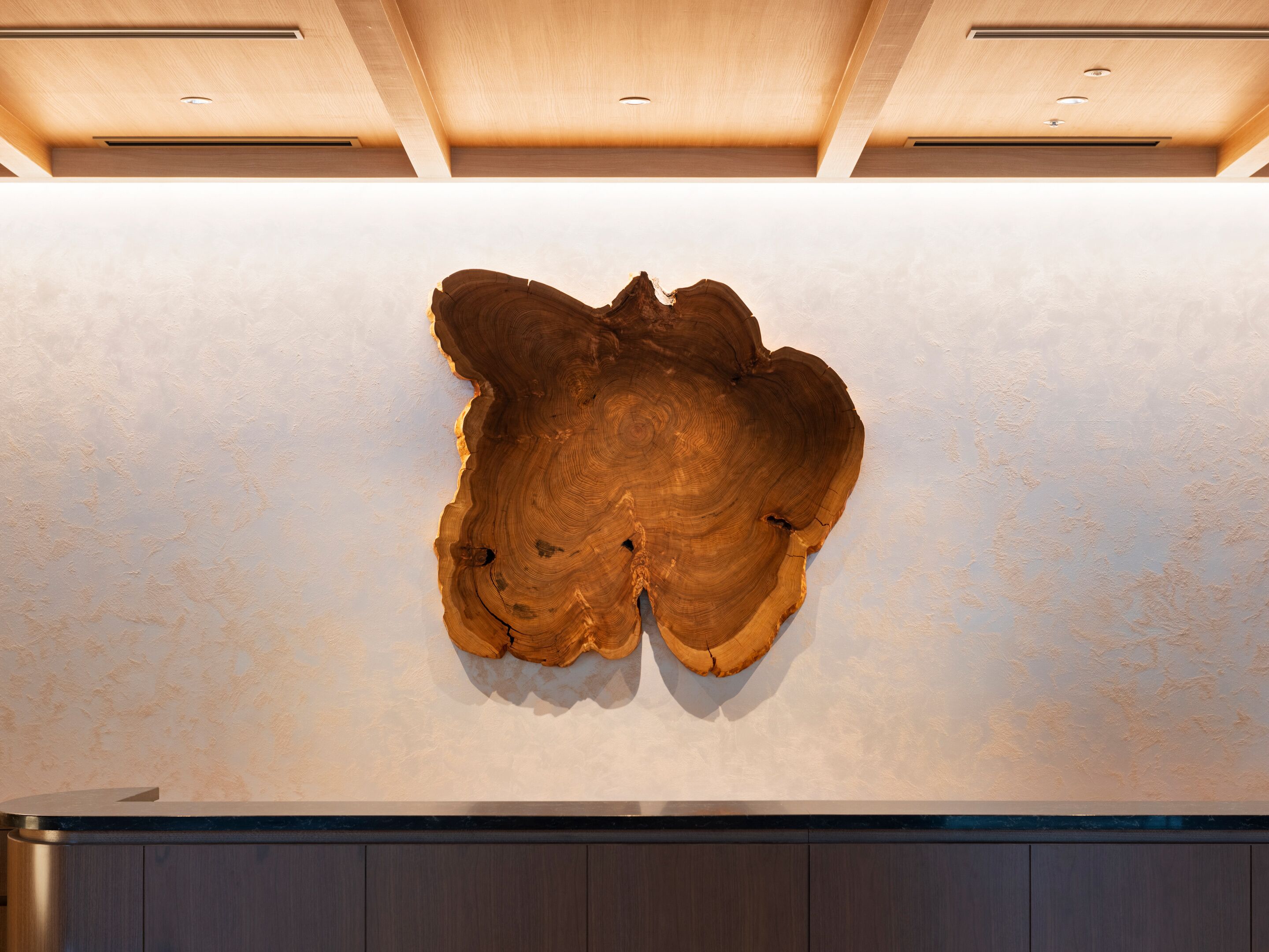 Una gran escultura de madera sobre una pared blanca, con un techo con iluminación empotrada y un panel de madera oscura debajo.
