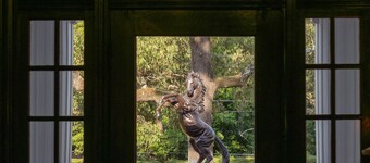 Hot Springs 保留地