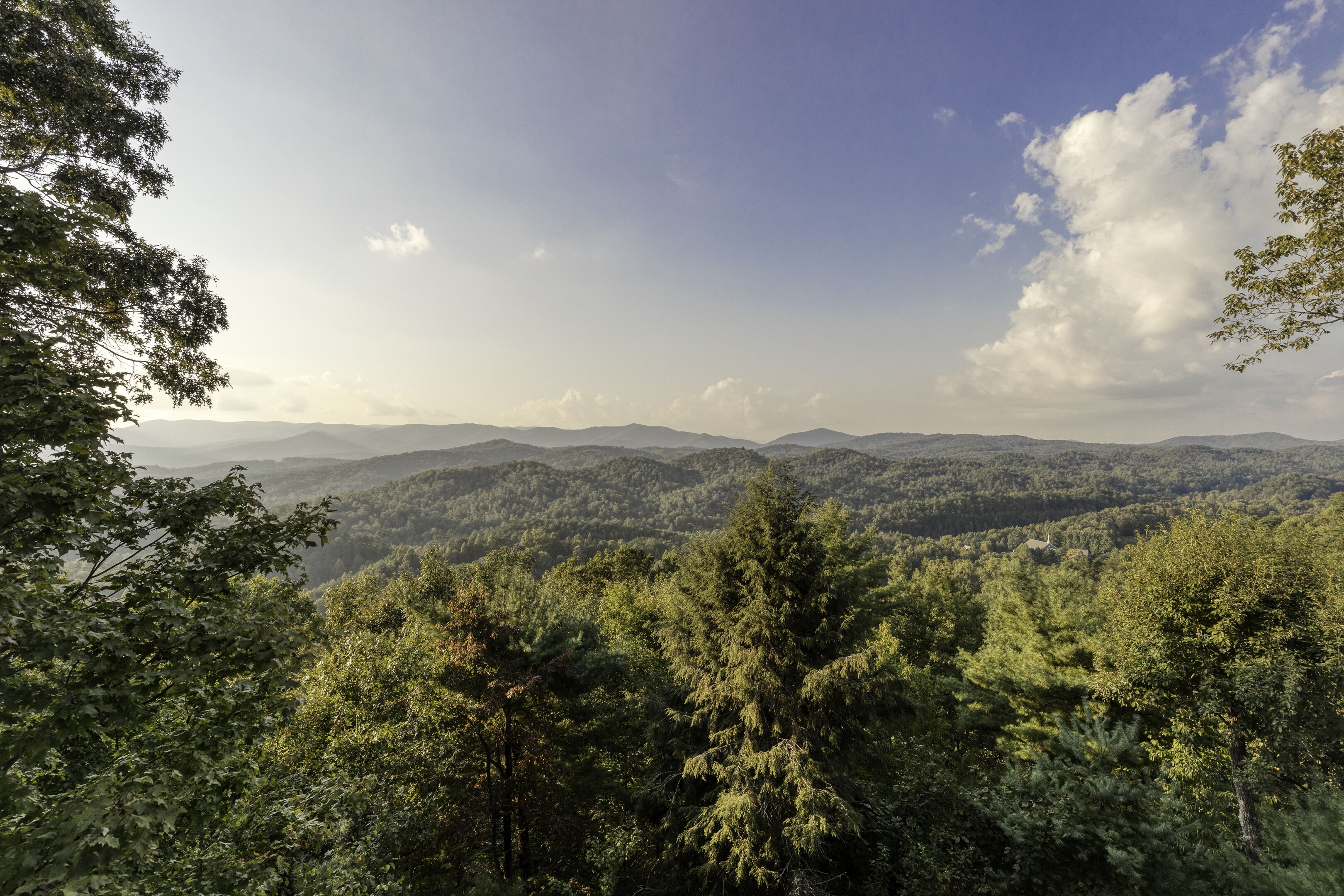 A forested mountain landscape with a clear sky.