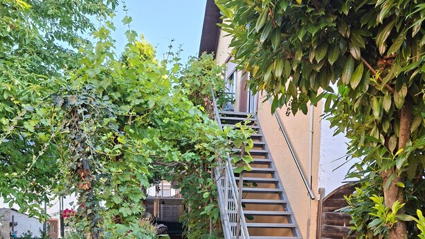 A garden with a checkered path leading to a staircase. - Holiday Apartment "Gersch" with Balcony & Wi-Fi (Traben-Trarbach/Wolf)