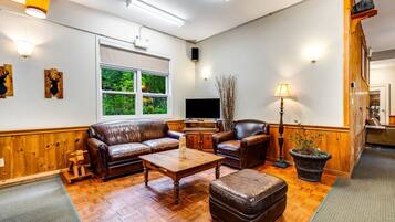 Smart TV, fireplace, books