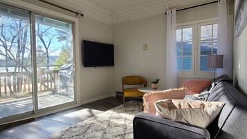 Smart TV, fireplace, books