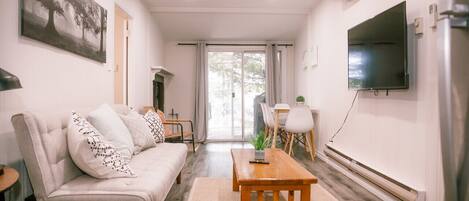 Smart TV, fireplace, books