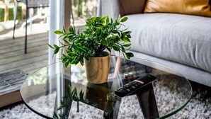 Uma sala de estar moderna com uma mesa de centro de vidro, um sofá com almofada e uma planta em vaso.