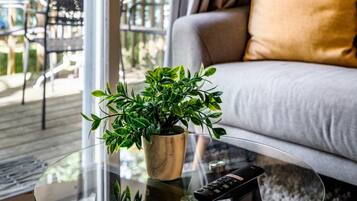 Una Smart TV, una chimenea, videojuegos, libros