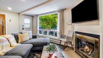 Smart TV, chimenea y libros