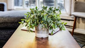 A wooden table with a potted plant in the center, a window with curtains, and a view of greenery outside. - Muskoka cottage on stunning lakefront - Windermere (Dwight)