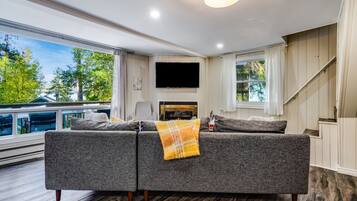 TV connectée, cheminée, livres