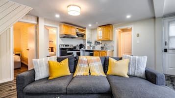 Smart TV, fireplace, books