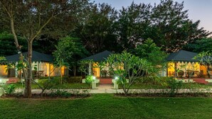 A row of three connected cottages with a central pathway, surrounded by lush greenery. - Jungle Cave Resort (Sawai Madhopur)